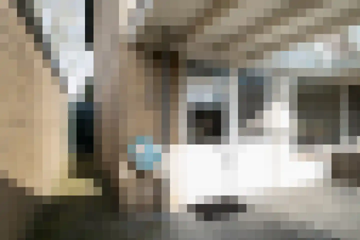 Kremersweg 11 Losser thumbnail 35