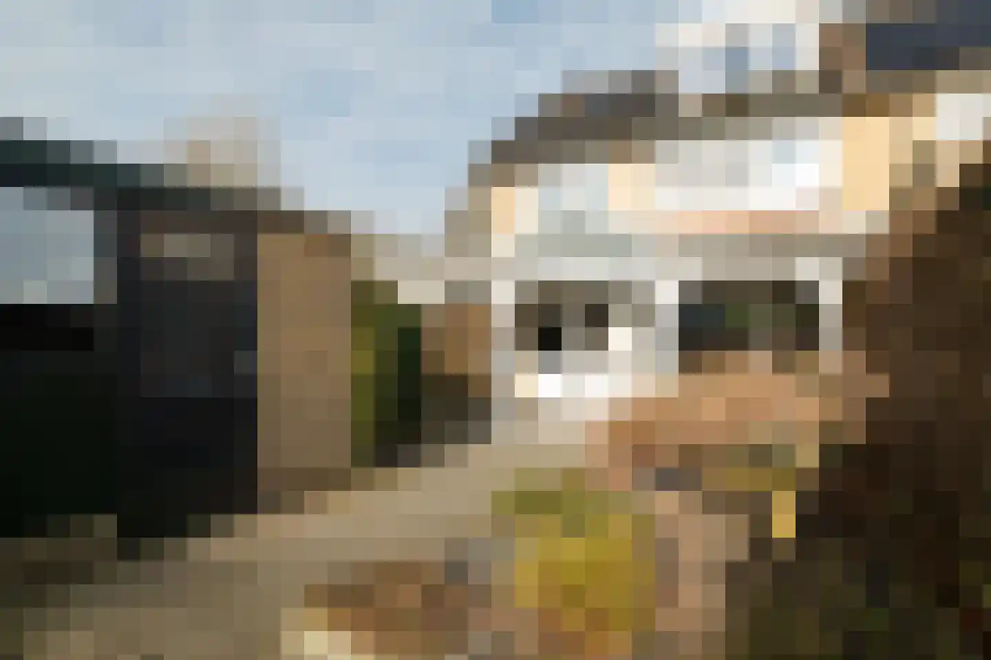Kremersweg 11 Losser thumbnail 39