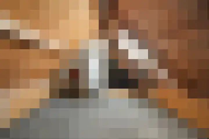 Kremersweg 25 Hippolytushoef thumbnail 18