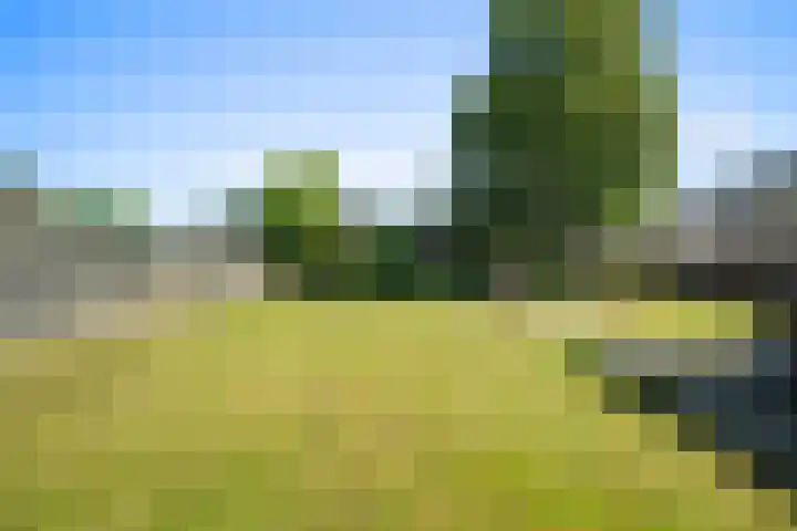 Kremersweg 25 Hippolytushoef thumbnail 4