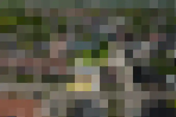 Kremersweg 25 Hippolytushoef thumbnail 5