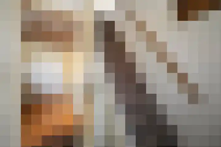 Kremersweg 25 Hippolytushoef thumbnail 7