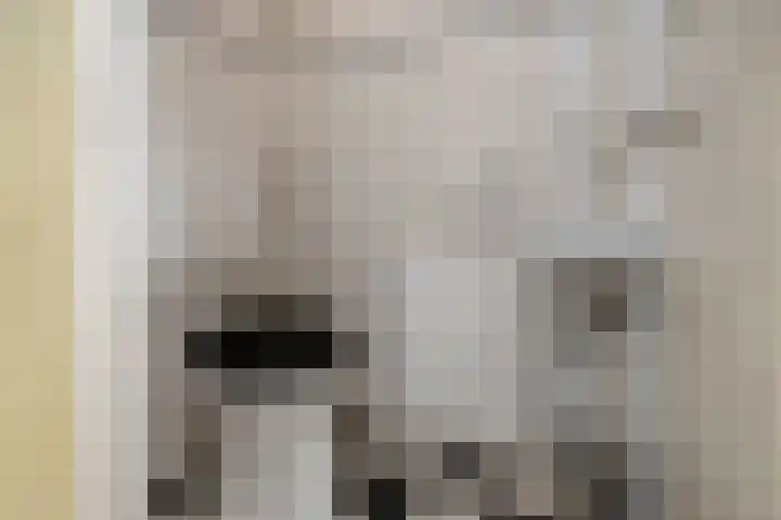 Kremersweg 25 Hippolytushoef thumbnail 8
