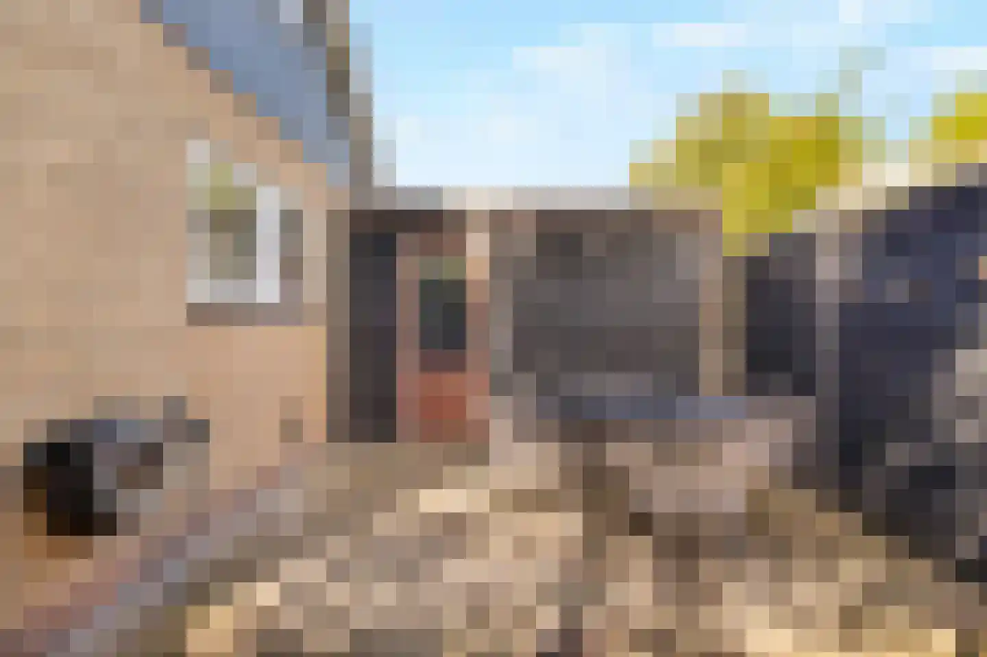 Kremersweg 29 Hippolytushoef thumbnail 27