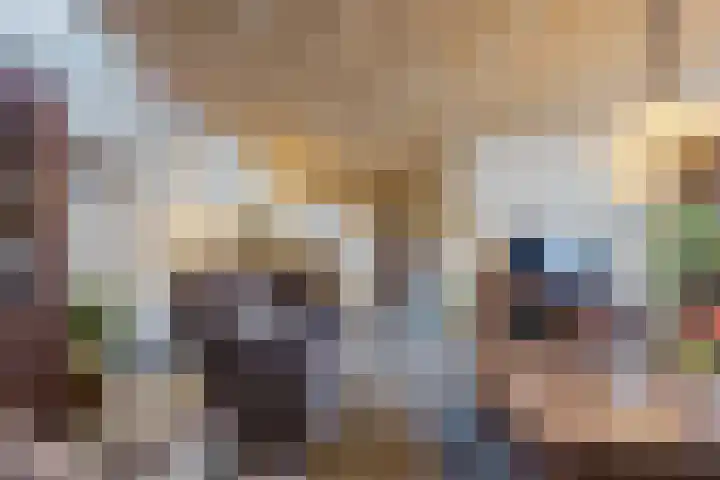 Krengelhoek 24 Gemert thumbnail 12
