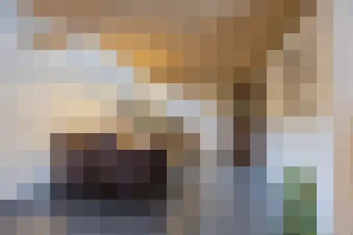 Krengelhoek 24 Gemert thumbnail 13