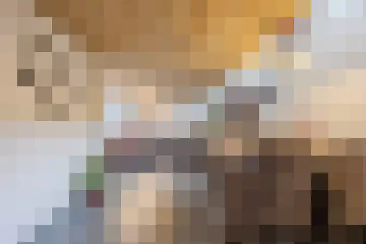 Krengelhoek 24 Gemert thumbnail 14