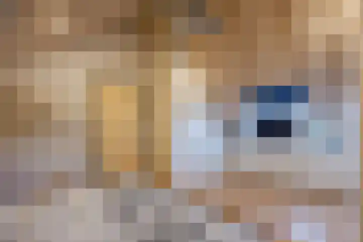 Krengelhoek 24 Gemert thumbnail 26