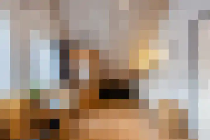 Krengelhoek 24 Gemert thumbnail 28