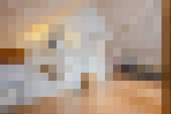 Krengelhoek 24 Gemert thumbnail 29