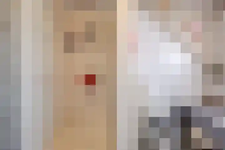 Krengelhoek 24 Gemert thumbnail 31