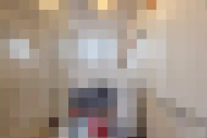 Krengelhoek 24 Gemert thumbnail 32
