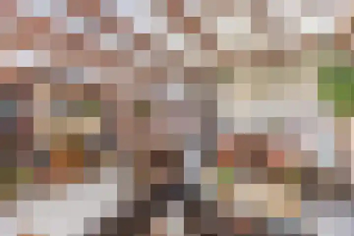 Krengelhoek 24 Gemert thumbnail 35