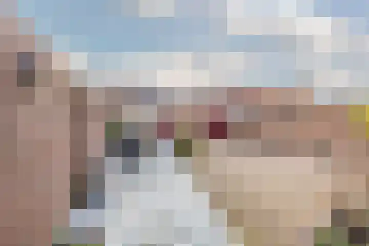 Krengelhoek 24 Gemert thumbnail 37