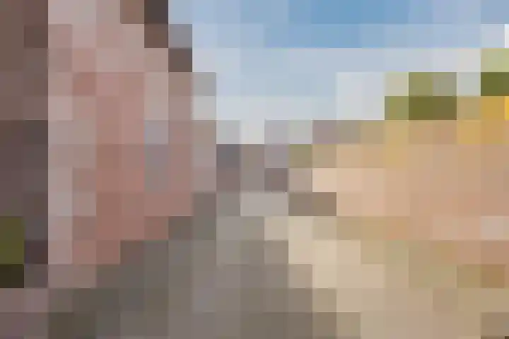 Krengelhoek 24 Gemert thumbnail 42