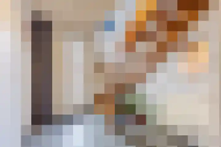 Krengelhoek 24 Gemert thumbnail 6