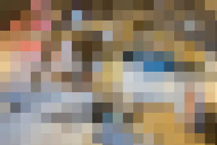 Krententuin 6 Hoorn thumbnail 5