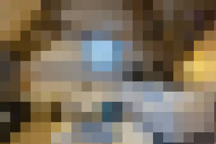 Krententuin 6 Hoorn thumbnail 8