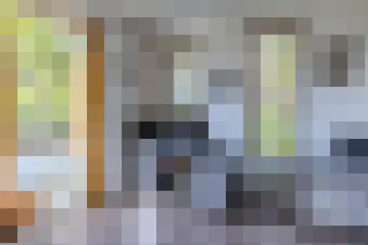 Krepelsbosch 121 Apeldoorn thumbnail 15