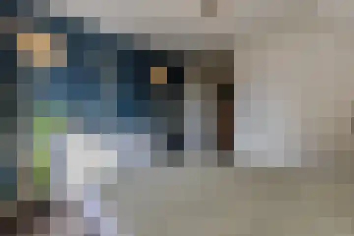 Krepelsbosch 121 Apeldoorn thumbnail 23