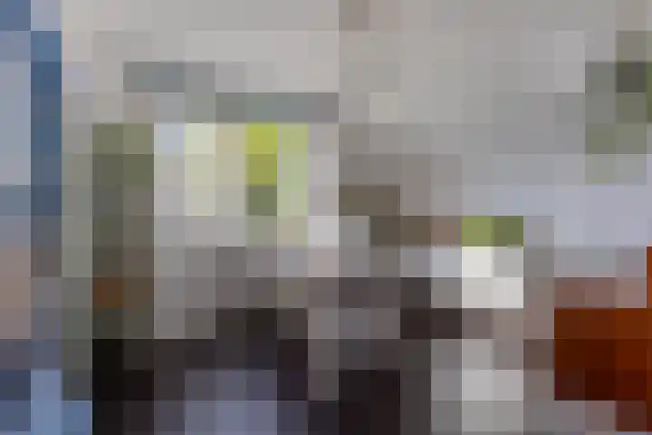 Krepelsbosch 121 Apeldoorn thumbnail 24