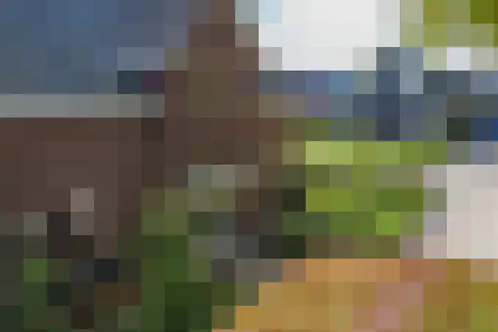 Krepelsbosch 121 Apeldoorn thumbnail 33