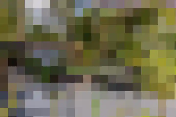 Krepelsbosch 121 Apeldoorn thumbnail 37
