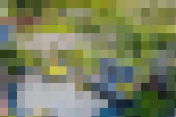 Krepelsbosch 121 Apeldoorn thumbnail 38