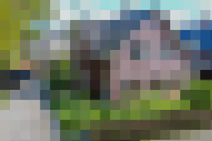 Krepelsbosch 121 Apeldoorn thumbnail 4