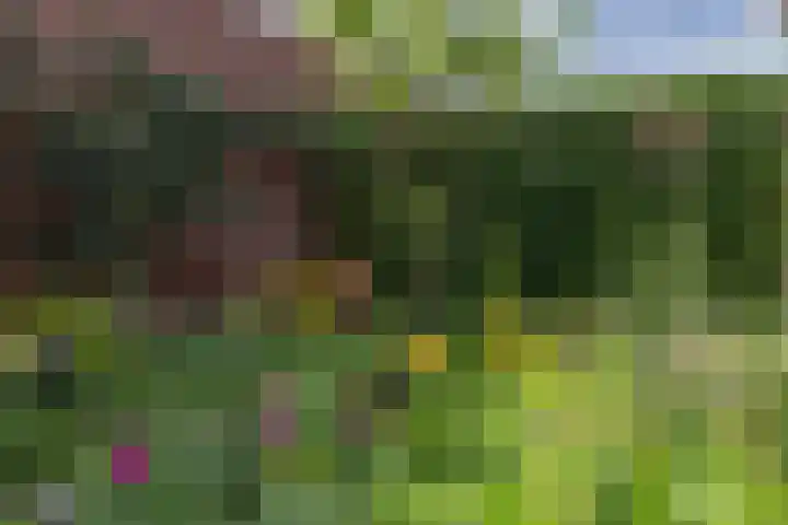 Krepelsbosch 121 Apeldoorn thumbnail 40