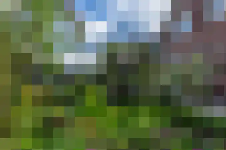 Krepelsbosch 121 Apeldoorn thumbnail 41