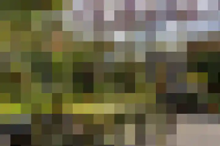 Krepelsbosch 121 Apeldoorn thumbnail 42
