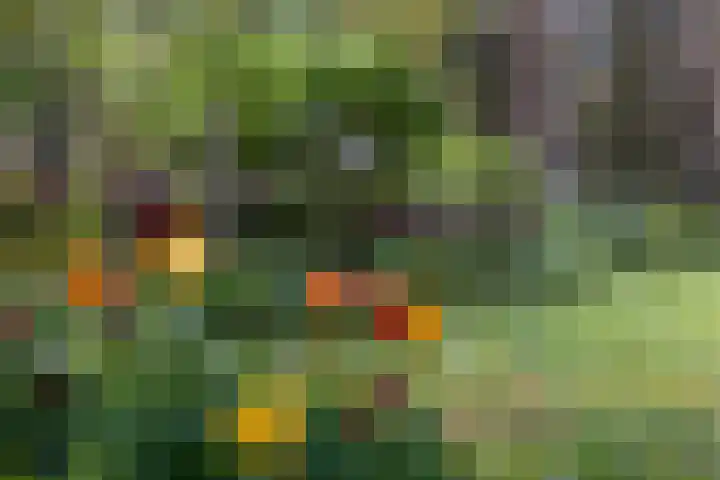 Krepelsbosch 121 Apeldoorn thumbnail 44