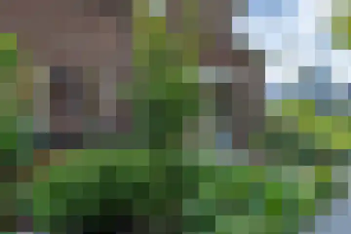 Krepelsbosch 121 Apeldoorn thumbnail 45