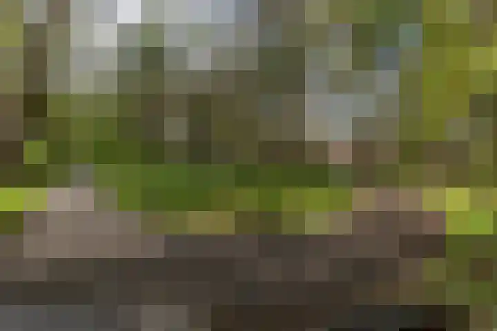 Krepelsbosch 121 Apeldoorn thumbnail 46
