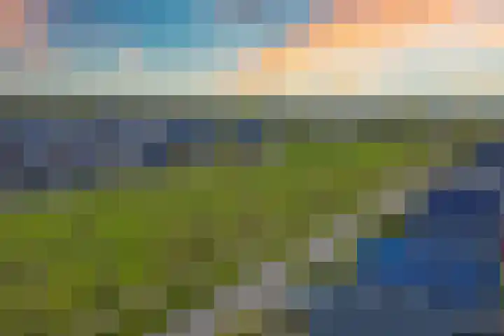 Krepelsbosch 121 Apeldoorn thumbnail 47
