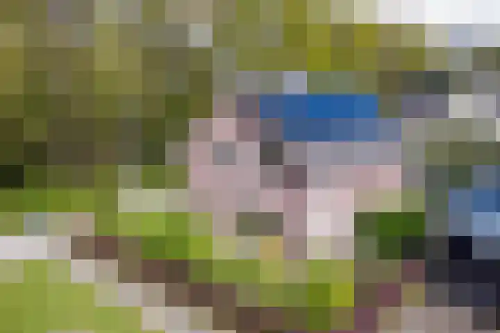 Krepelsbosch 121 Apeldoorn thumbnail 5
