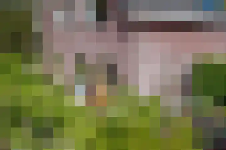 Krepelsbosch 121 Apeldoorn thumbnail 50
