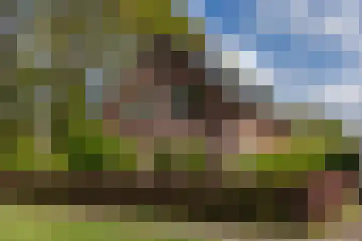 Krepelsbosch 121 Apeldoorn thumbnail 6