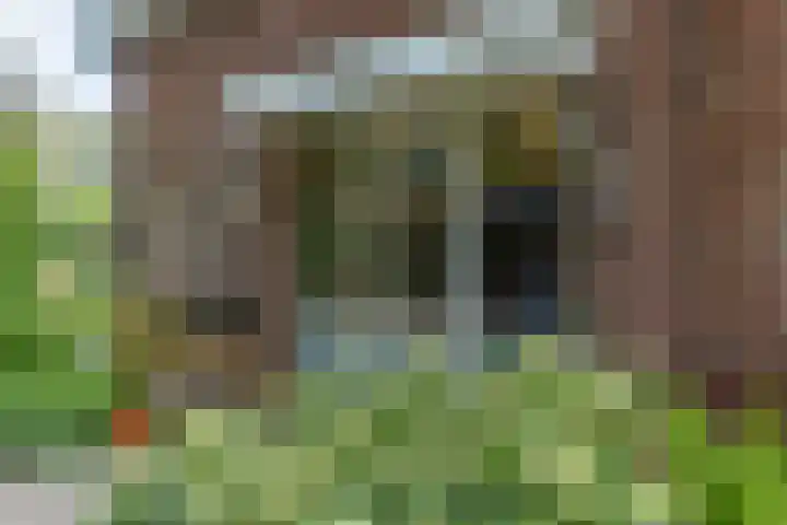 Krepelsbosch 121 Apeldoorn thumbnail 8