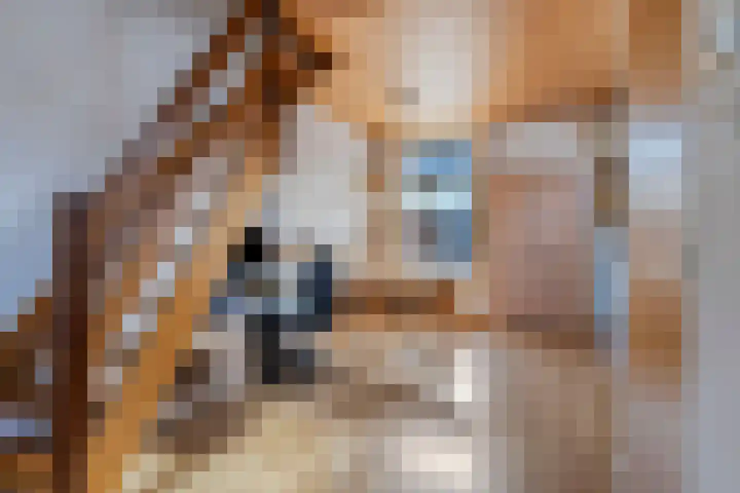 Krepelstraat 1 Zierikzee thumbnail 12