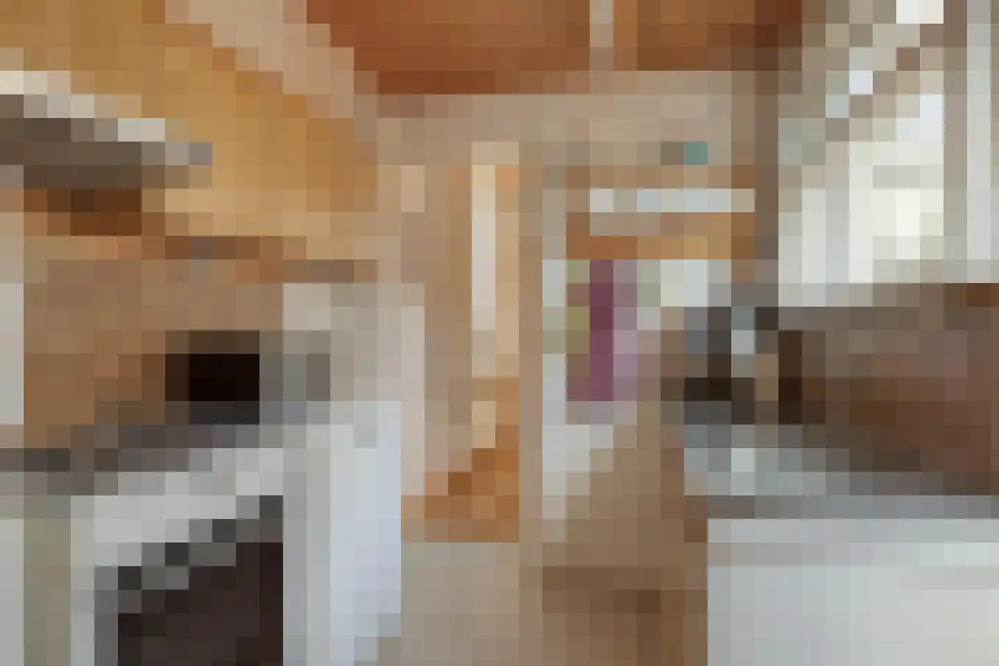 Krepelstraat 1 Zierikzee thumbnail 15