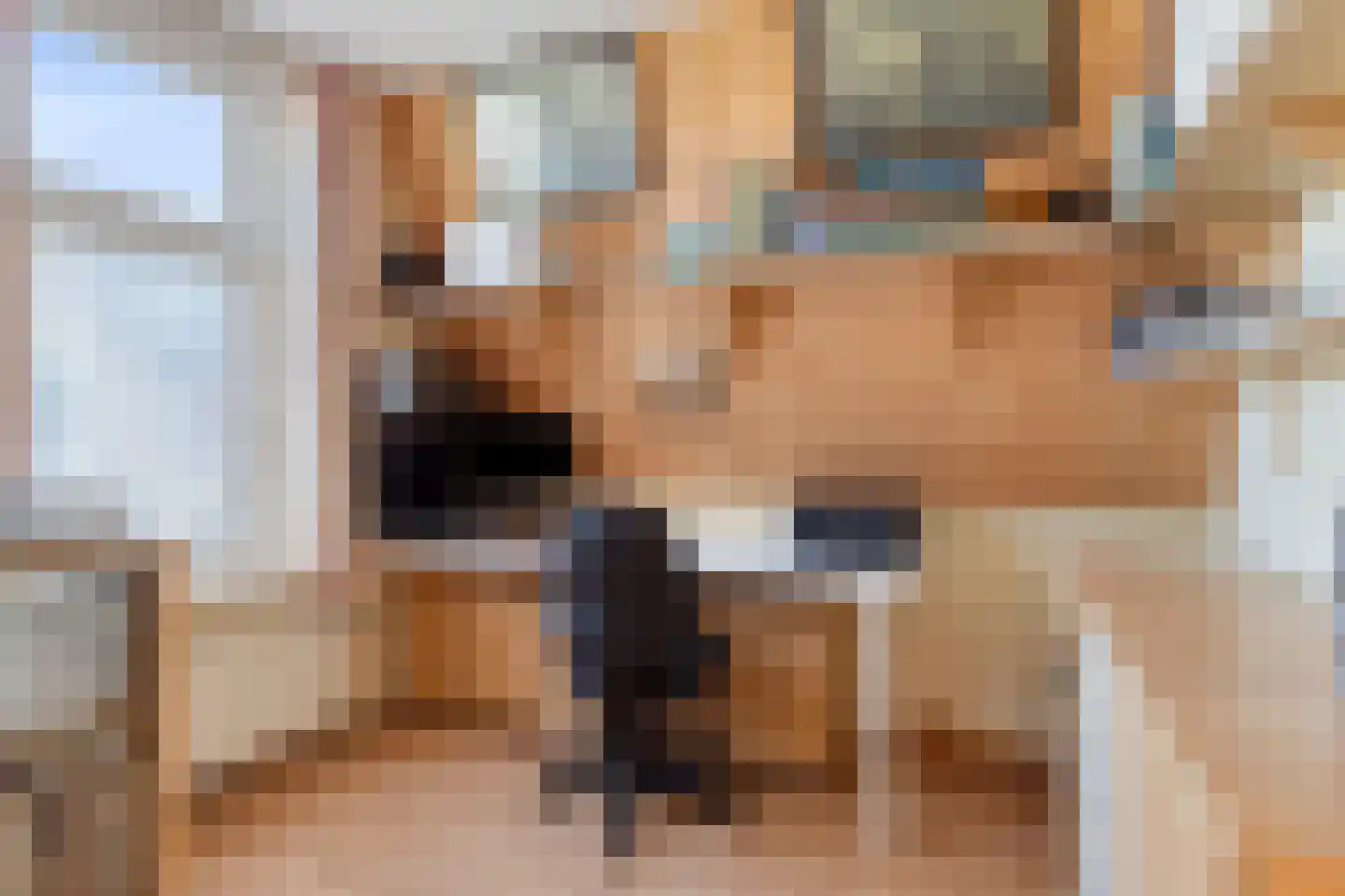 Krepelstraat 1 Zierikzee thumbnail 23