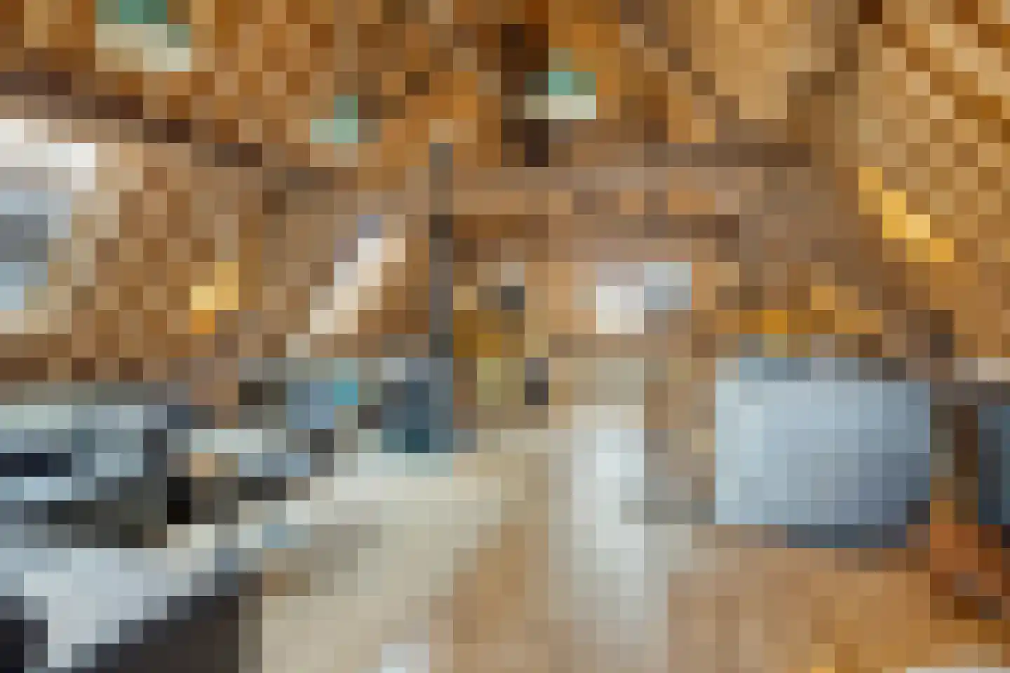Krepelstraat 19 Zierikzee thumbnail 30