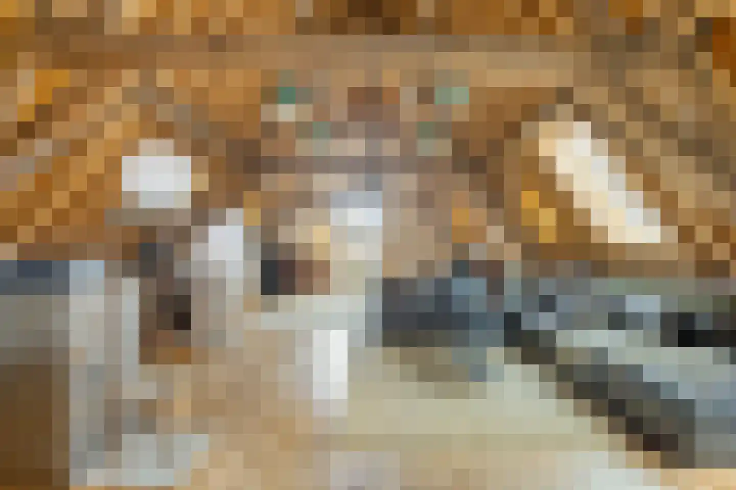 Krepelstraat 19 Zierikzee thumbnail 31