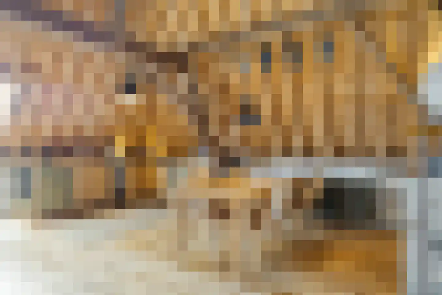 Krepelstraat 19 Zierikzee thumbnail 33