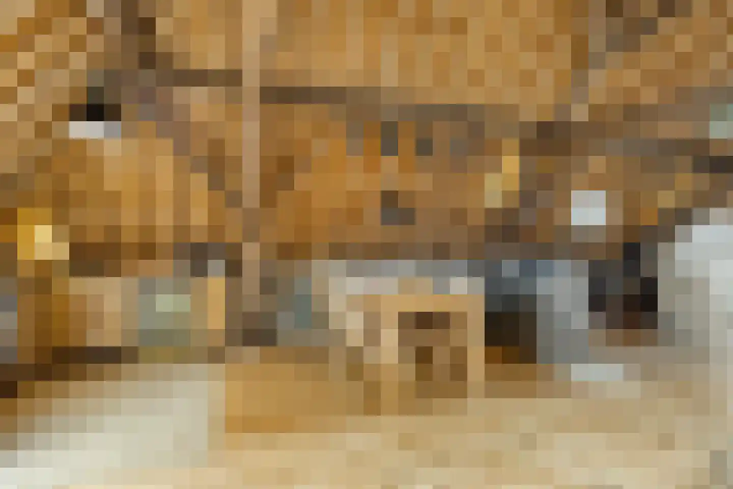 Krepelstraat 19 Zierikzee thumbnail 34