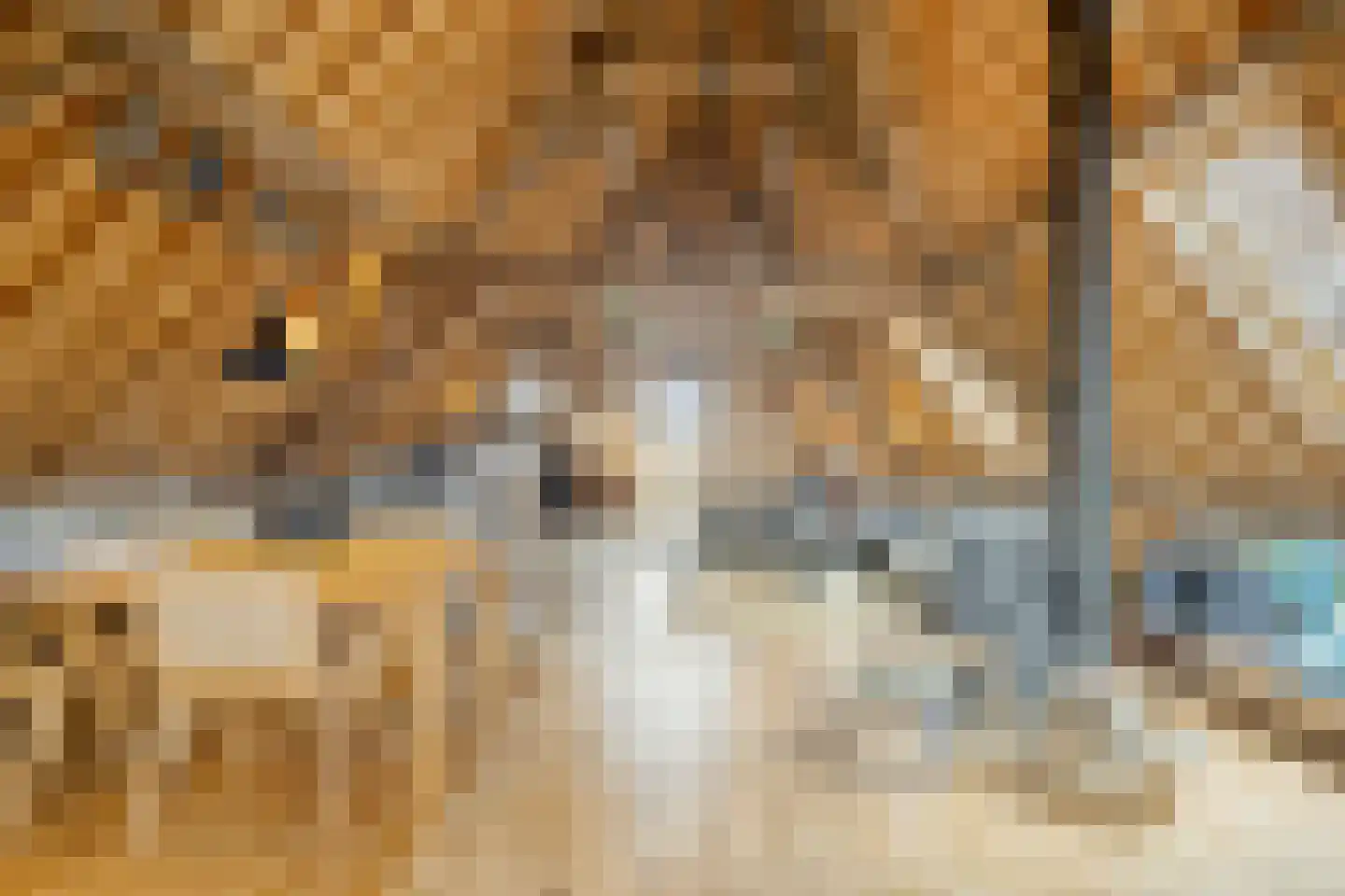 Krepelstraat 19 Zierikzee thumbnail 35