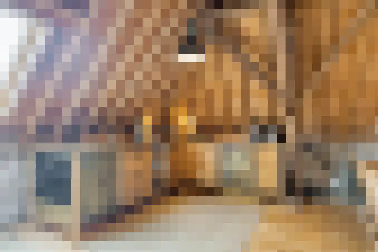 Krepelstraat 19 Zierikzee thumbnail 36