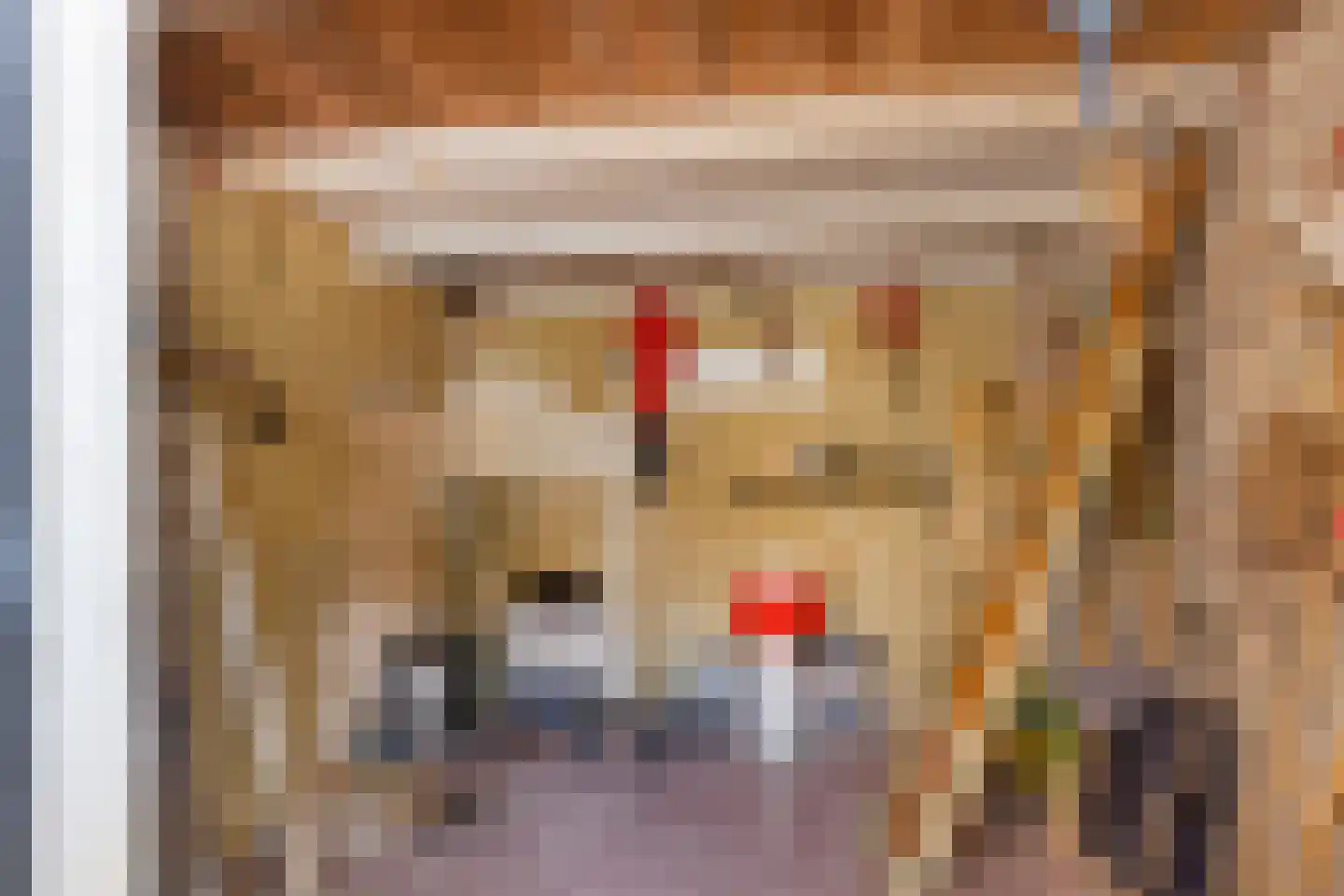 Krepelstraat 27 Zierikzee thumbnail 30